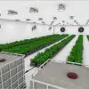 easy2grow 80 - Image 6